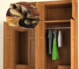 Mách bạn cách bảo quản tủ gỗ luôn như mới